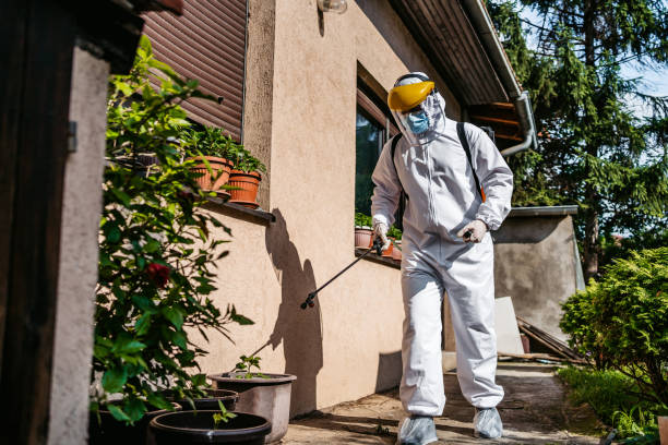 Best Insect Control  in Omaha, TX