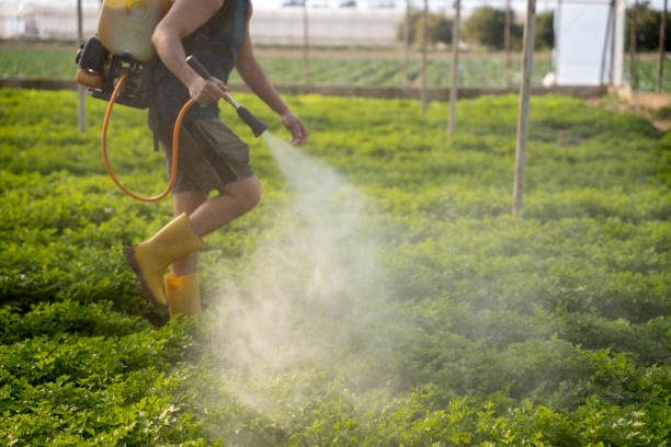 Best Pest Control Near Me  in Omaha, TX