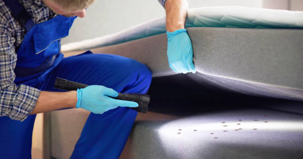 Best Affordable Pest Control Services  in Omaha, TX