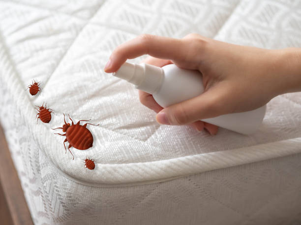 Best Residential Pest Control  in Omaha, TX