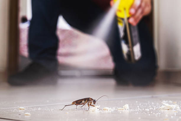 Best Commercial Pest Control Services  in Omaha, TX
