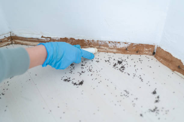 Best Mosquito Control Services  in Omaha, TX