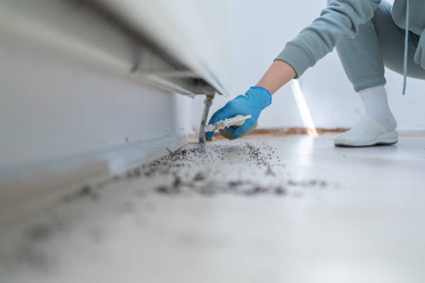 Professional Pest Control in Omaha, TX